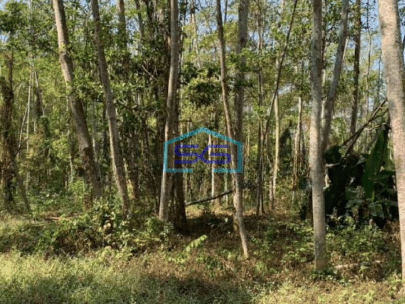 Dijual Tanah Strategis Kawasan Industri Lokasi Sukoharjo Luas 11 Ha