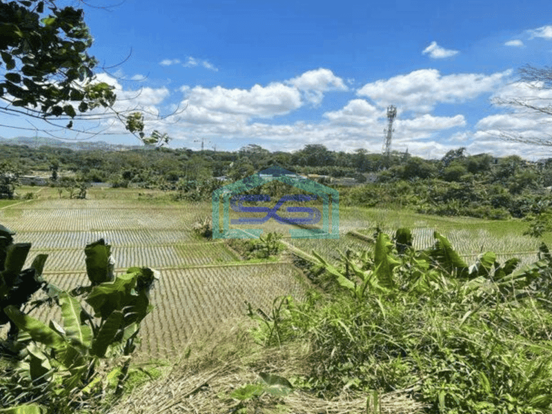 Dijual Tanah Cocok Untuk Gudang Dekat Kawasan Industri Cimareme Dekat Tol Padalarang