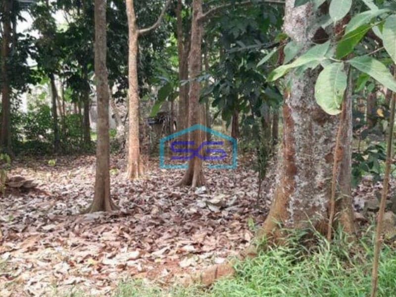 Dijual Tanah di Pengasinan Gunung sindur Bogor Dipinggir jalan Raya LT 3000m2