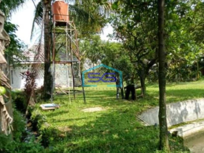 Dijual Tanah Di Ciampea Udik Bogor Dengan Luas 50000m2