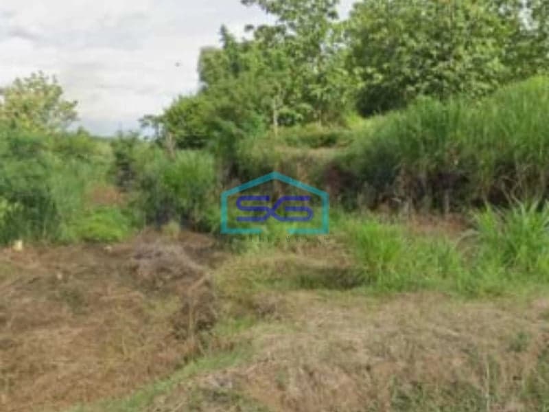 Dijual Tanah Strategis Pekarangan Gondangrejo Karanganyar Jawa Tengah Luas 4948m2