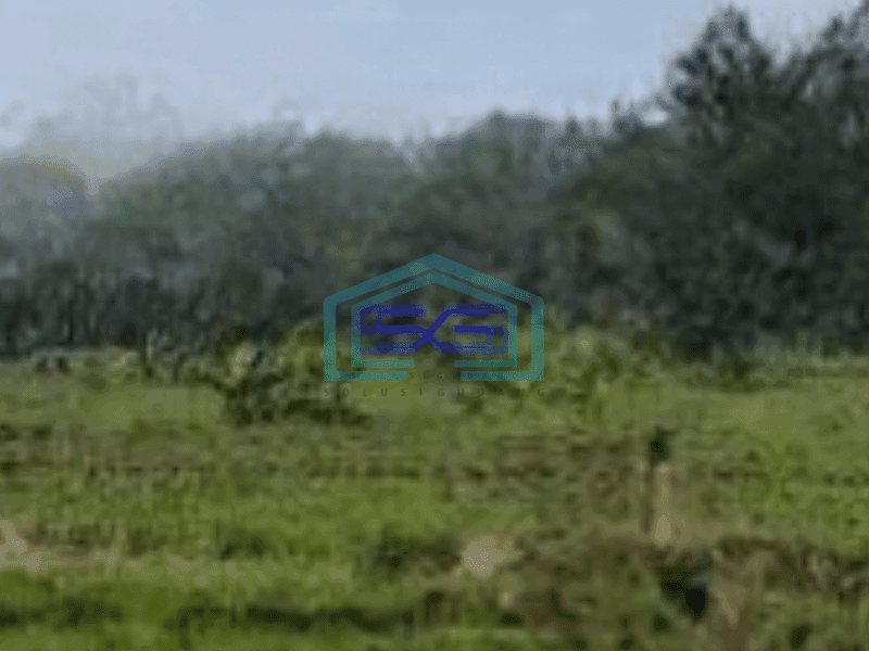 Dijual  Tanah dan Bangunan di Jl Raya Purwodadi, Kebun Raya Purwodadi