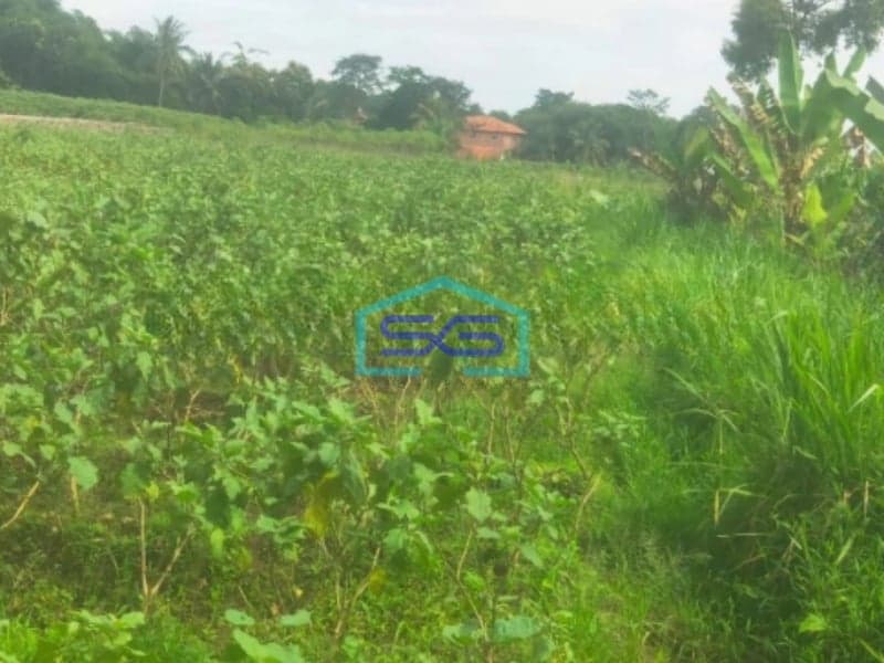 Dijual Tanah Desa Cibungbulang Bogor Barat Jawa Barat LT 70000m2