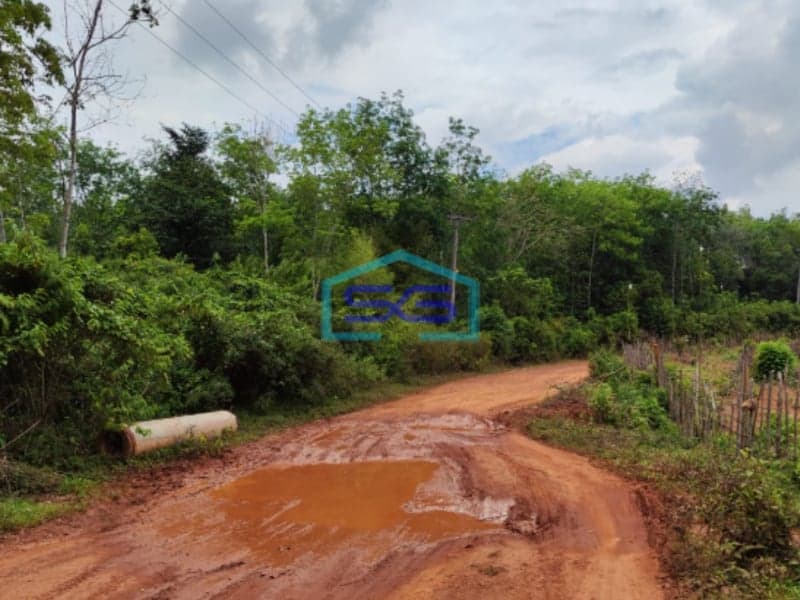 Dijual Tanah di Sembawa Banyuasin Sumatera Selatan Luas 140.000m2