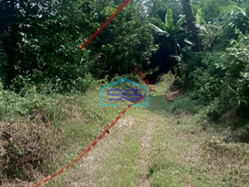 Dijual Tanah Super Murah Luas  6134 m² Lokasi Bogor