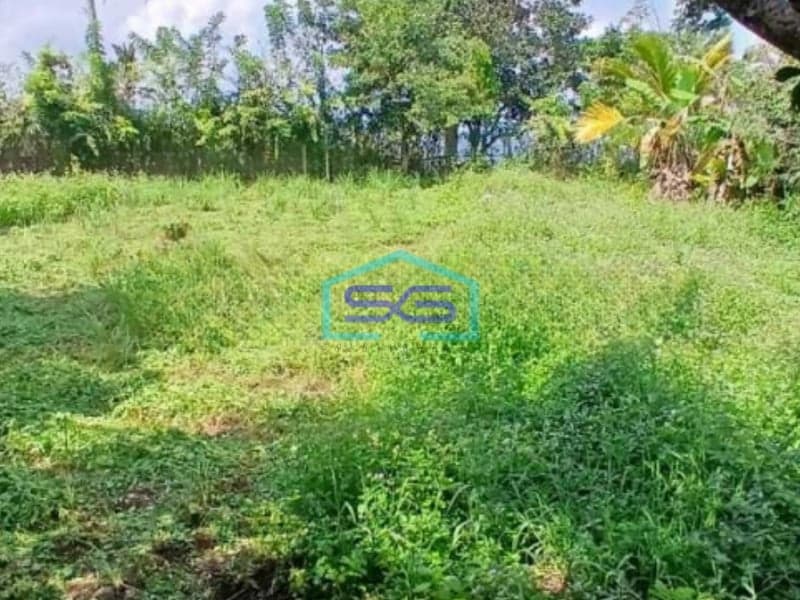 Dijual Tanah Harga Murah di Baturiti Tabanan Bali Luas Tanah 2780m2