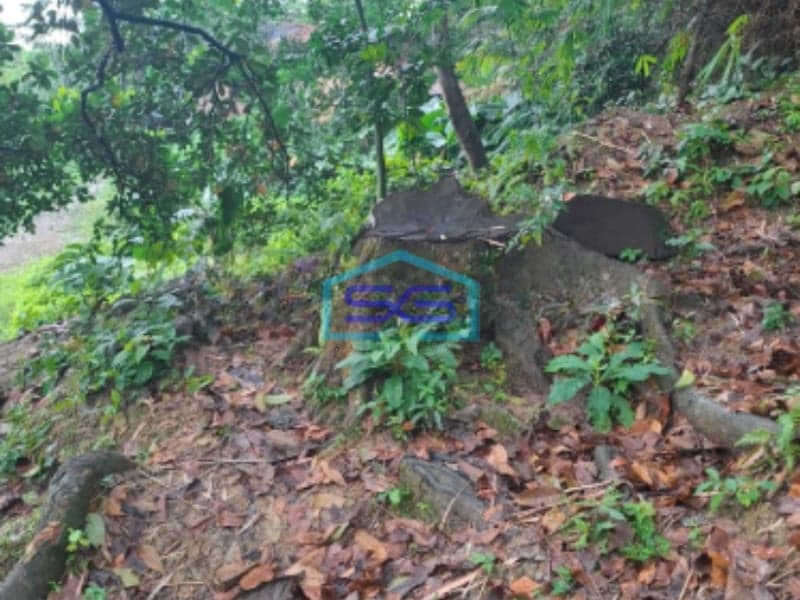 Dijual Tanah Di Kawasan Lewihejo Sentul Bogor Luas Tanah 1840m2