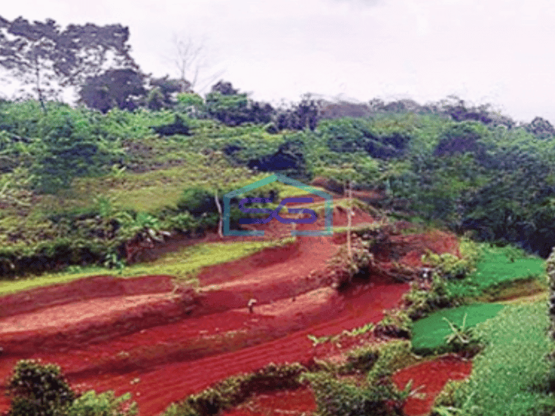 Dijual Termurah Kavling Tanah Luas 12 Ha Bogor Selatan Jl Cogreg Nangka