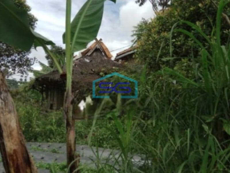 Dijual Tanah di Cisarua Bandung Barat Luas Tanah 4500m2