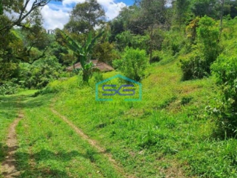 Dijual Tanah di Jalan Terobosan Cipayung Megamendung Bogor LT 120000m2