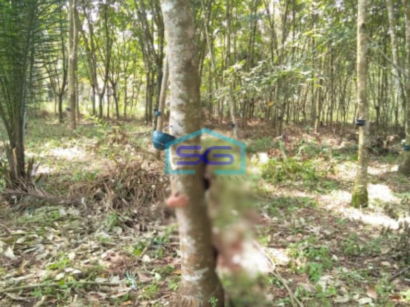 Dijual Murah Tanah Luas 13060m2 Siap Bangun Lokasi Payabakung Indralaya Palembang