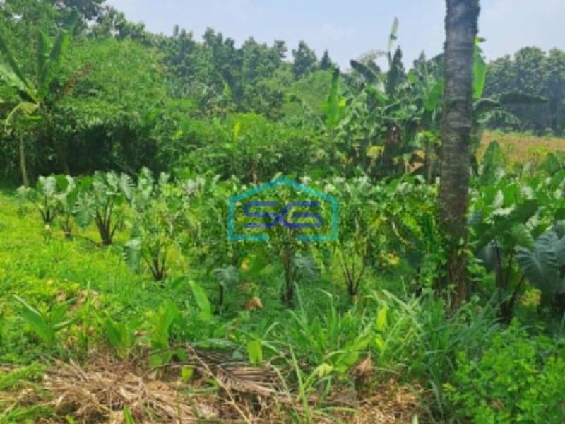 Dijual Tanah Di Daerah Kemang Bogor SHM Lokasi Bebas Banjir