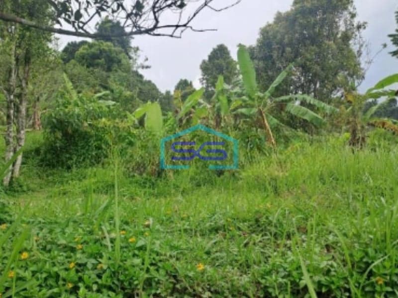 Dijual Tanah Lokasi Di Cijeruk Bogor Jawa Barat LT 20000m2