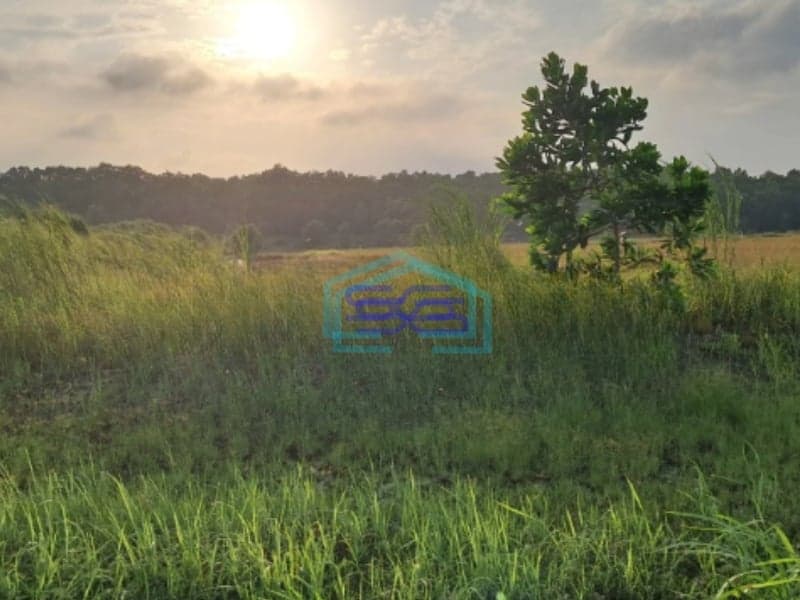 Dijual Tanah Industri Di Karawang Barat Artha Industrial Hill Jawa Barat Luas Tanah  279258 m²