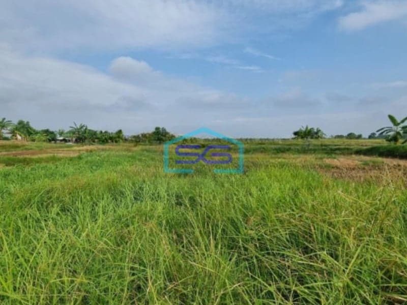 Dijual Tanah Kosong di Pinggir Jalan Utama Dalam Kawasan Industri Cikande Serang LT 140 Ha