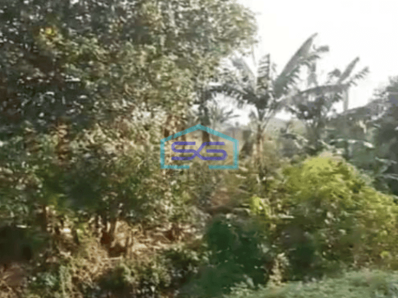 Dijual Tanah Lahan Super Strategis Industri Lokasi Tegowanu Grobogan 24460m2