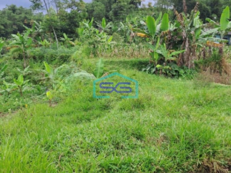 Dijual Tanah Darat Lokasi di Cigombong Bogor Luas Tanah 4 Hektar