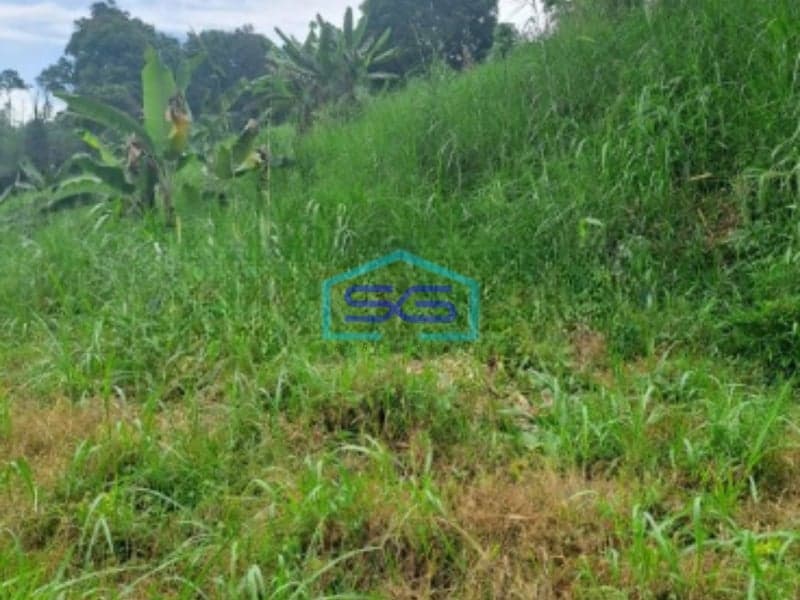 Dijual Tanah Di Cibodas Rumpin Bogor Jawa Barat LT 12000m2