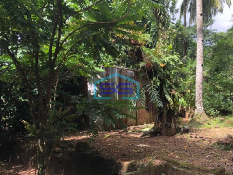 Dijual Tanah Luas Kontur Tinggi, Bebas Banjir, Lokasi Strategis di Banyuasin Sumatera Selatan LT 2700m2