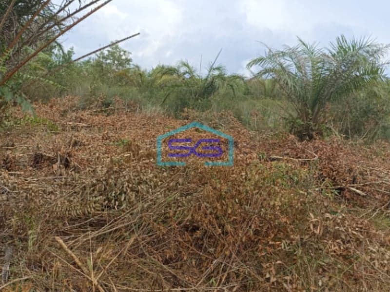 Dijual Lahan Tanah Dusun Parit Indralaya Utara Kab Ogan Ilir Sumatera Selatan LT 45000m2