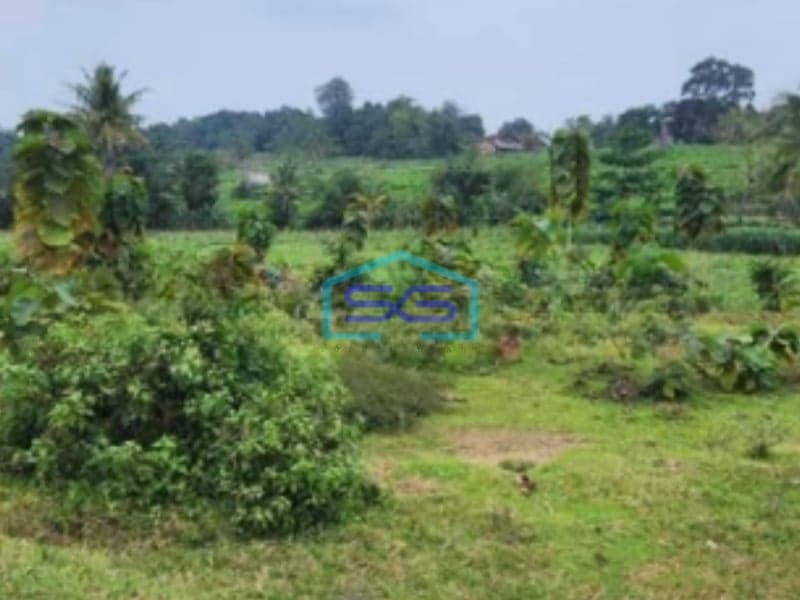 Dijual Tanah Strategis SHM Luas 3645m² di Daerah Batealit Jepara Jawa Tengah