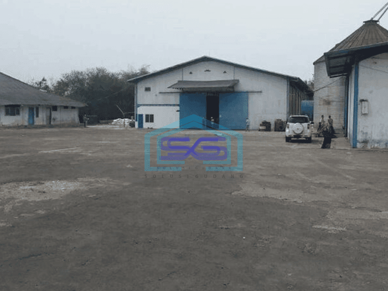 Dijual Pabrik Pakan Ternak Aktif, Msk Kontener 40f di Serang Timur