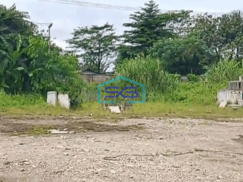 Disewakan Tanah Kavling Siap Dibangun Lokasi di Cisauk Tangerang LT 19000m2