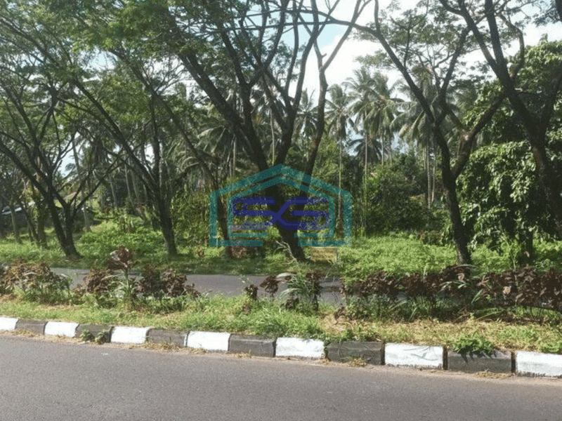 Dijual Tanah 1,7h di Minahasa Utara Cocok buat Gudang dan Ekspedisi