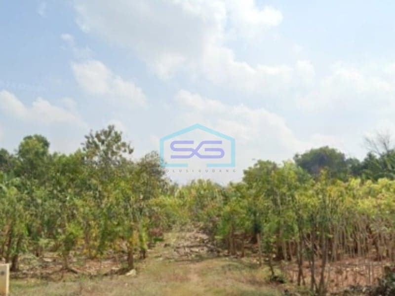 Dijual Tanah Luas 3785 m² Lokasi di Gresik Jawa Timur