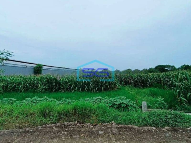 Dijual Tanah Murah Di Menganti Gresik Akses Kontainer Cocok Untuk Pabrik Gudang LT 4500m2