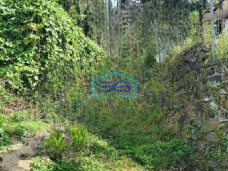 Dijual Tanah Lokasi Trawas Mojokerto Jawa Timur Luas  3000 m²