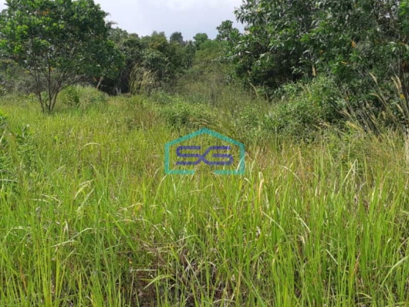 Dijual Tanah Kosong Jalan Meritai Kabupaten Banyuasin Jakabaring Palembang LT 5670m2