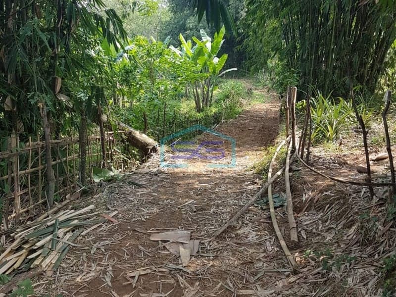 TANAH DIJUAL DI JONGGOL