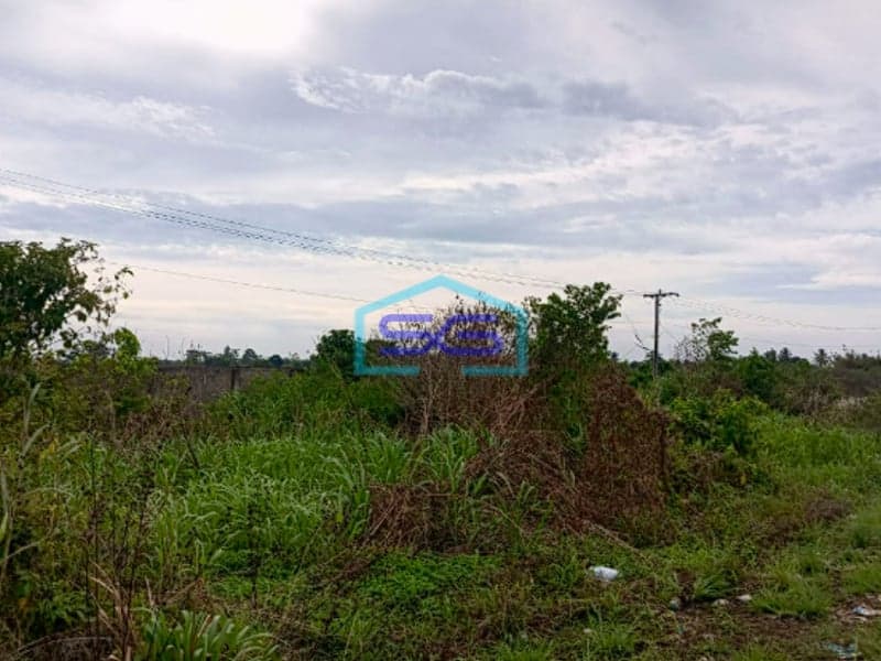 Dijual Tanah Super Luas di Desa Pedu Sumatera Selatan Cocok Buat Proyek Besar LT 82790m2