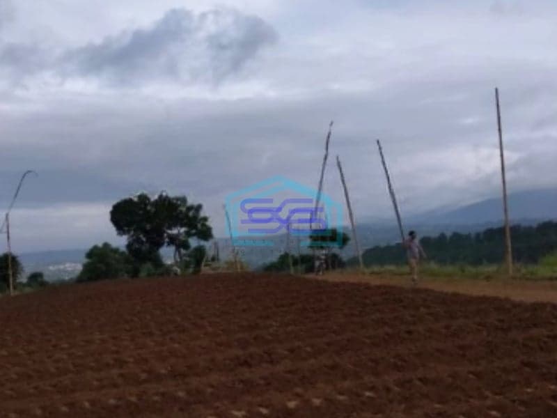 Dijual Tanah di Desa Bojongmurni Ciawi Bogor Luas 50000m2