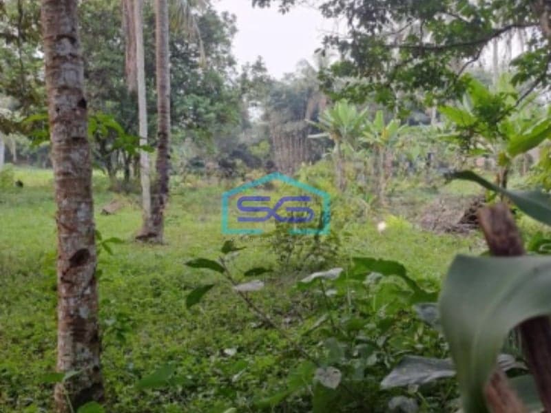 Dijual Tanah Strategis Cibodas Rumpin Bogor Luas Tanah 9000m2