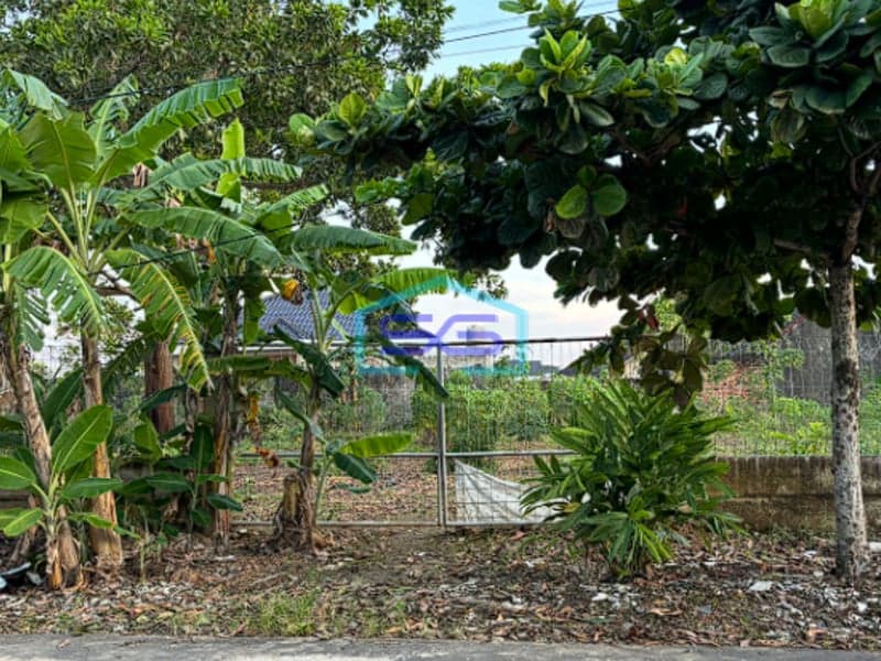 Dijual Tanah Luas 1200 m² di Jalan Padang Kapas Bukit Palembang