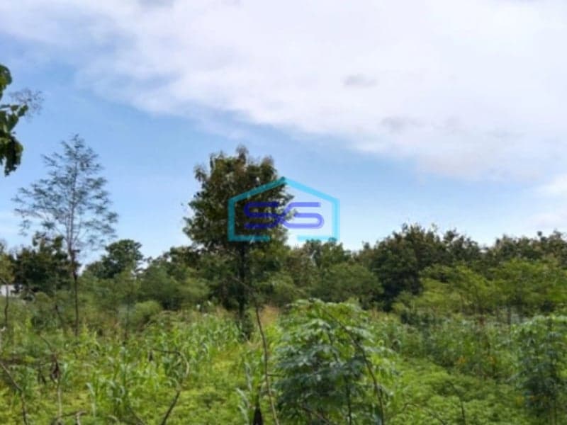 Dijual Tanah LT 7638m2 di Bendungan Karangmojo Gunung Kidul Yogyakarta Strategis Murah