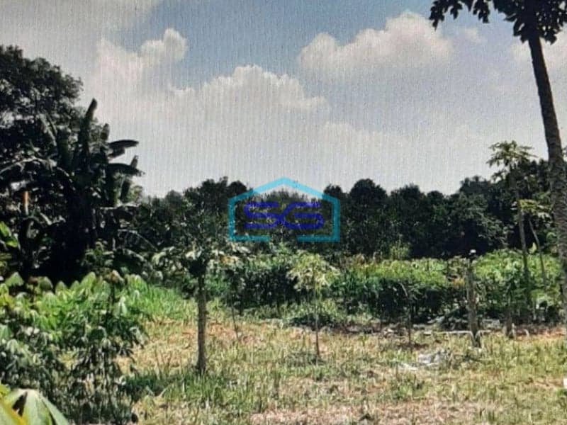 Dijual Tanah Di Gunung Sindur Bogor Lokasi Strategis di Pinggir Jalan Raya LT 8006m2