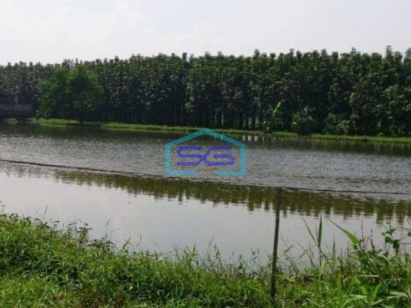 Dijual Tanah Dalam Komplek Perumahan Ciwastra Luas Tanah  6541 m²