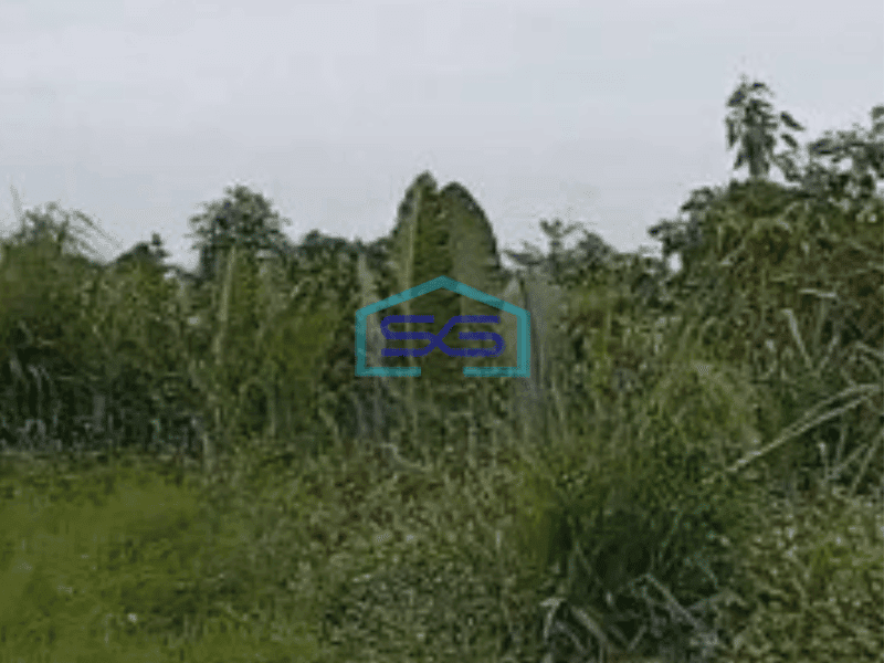 Dijual Tanah Murah Luas 65000 m² di Legok Tangerang