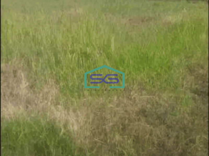 Dijual Tanah Kavling di Tigaraksa Kp. Cileles Bantar Panjang Tangerang