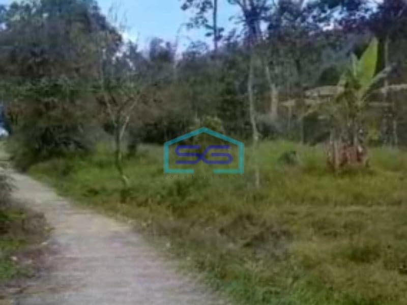 Dijual Tanah Super Strategis Pekarangan Bandungan Semarang Luas 20000m2