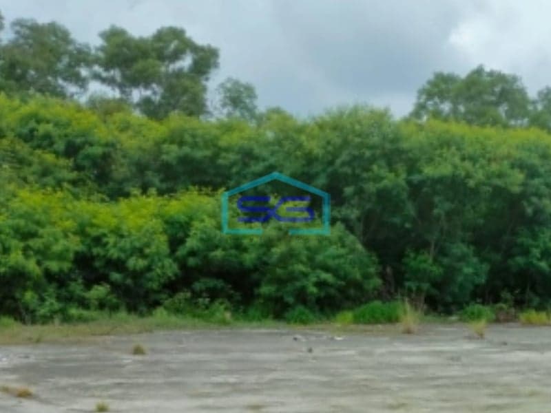 Disewakan Tanah Harga Murah Lokasi Bebas Banjir di Marunda Jakarta Utara