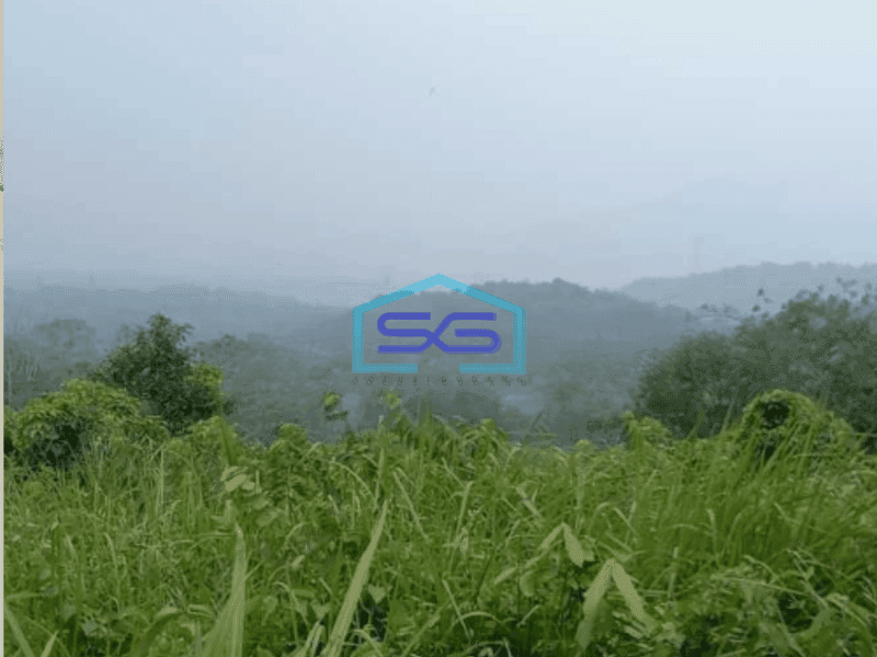 Dijual Tanah Di Jonggol Bogor Luas Tanah 20000 m²