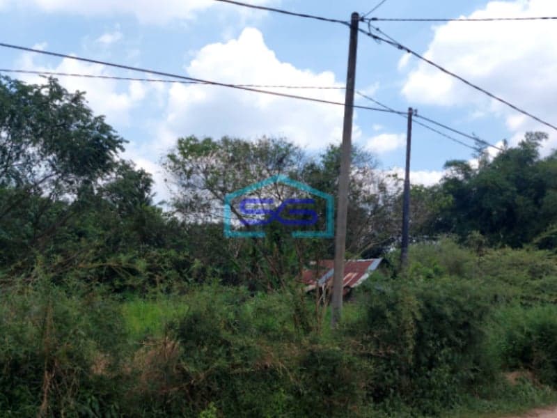 Dijual Tanah Seluas 6000 m² di Jalan Sungai Sedapat Palembang Luas 6000m2