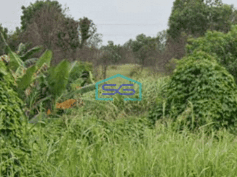 Dijual Tanah Luas  di, Jl. Sriwijaya Raya, Indralaya, Ogan Ilir Sumatera Selatan LT 18.300m2