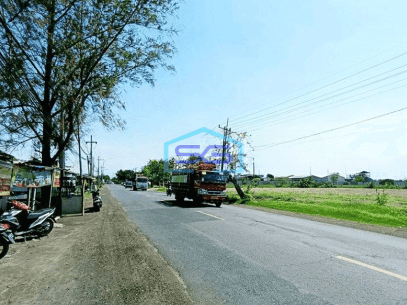 Dijual Tanah Murah Raya Kedamean Dekat Tol Dan Surabaya Cocok Untuk Pabrik LT 42000m2