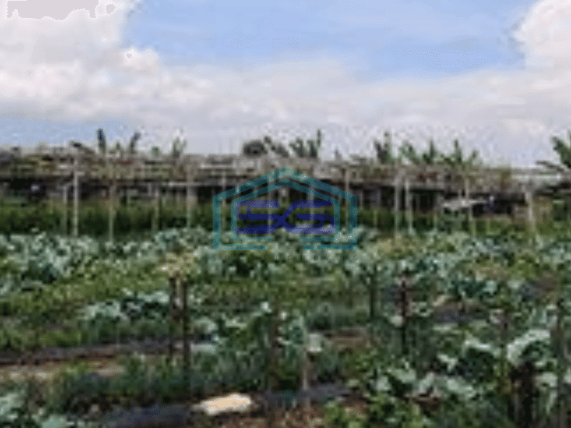 Dijual Murah banget, kavling view bagus di Setiabudi Regency, Bandung