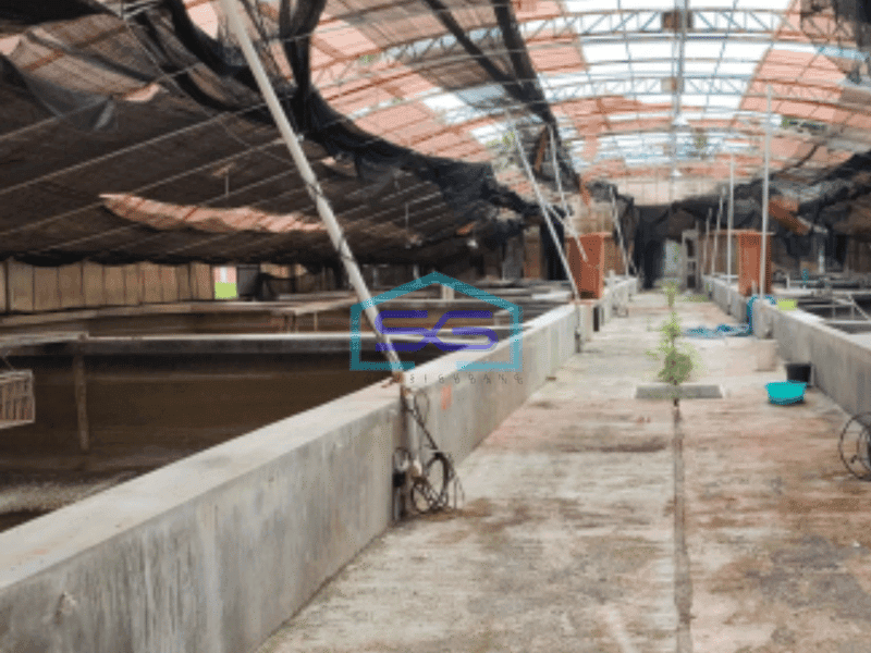 Dijual ex Pabrik Lengkap Dengan Gudang Di Banyuwangi Luas Tanah 29.230 m²